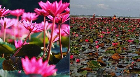 ഫെയ്‌സ്ബുക്ക് ചിത്രം