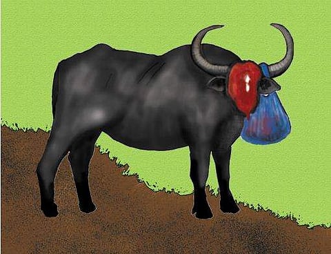 ചിത്രീകരണം - സുരേഷ് കുമാര്‍ കുഴിമറ്റം