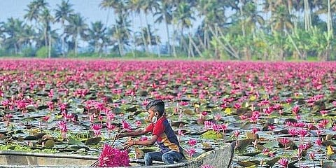 ഫയല്‍ ചിത്രം