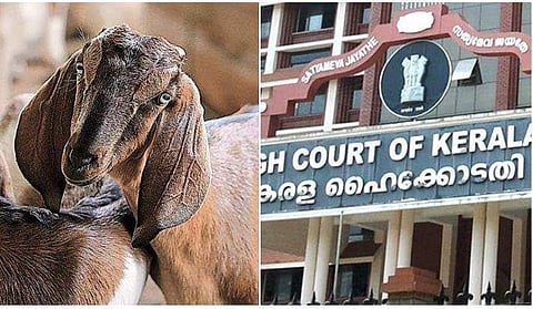 ഫയല്‍ ചിത്രം