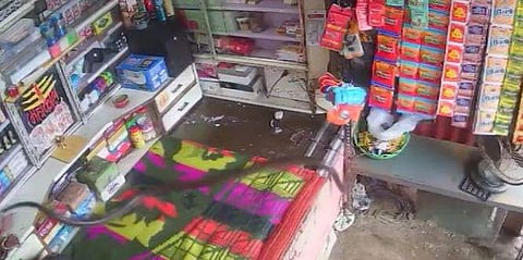 എലിയുടെ പിന്നാലെ പായുന്ന മൂര്‍ഖന്‍ പാമ്പ്
