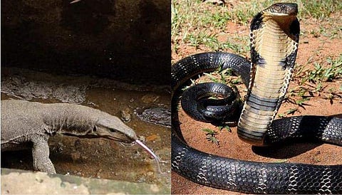 പ്രതീകാത്മക ചിത്രം
