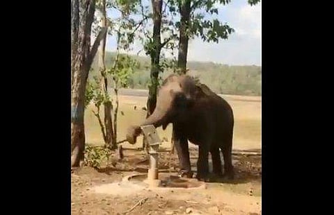 വീഡിയോ ദൃശ്യം