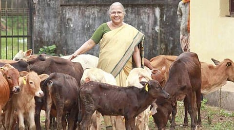ഡോ ശോശാമ്മ അയ്‌പ്