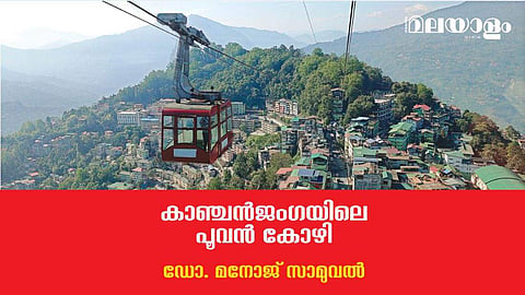 കാഞ്ചന്‍ജംഗയിലെ പൂവന്‍ കോഴി