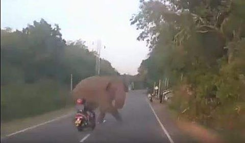 വീഡിയോ ദൃശ്യം