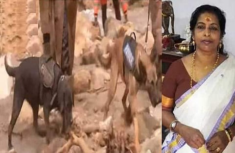 മായയും മര്‍ഫിയും, ലൈല/ ഫയല്‍