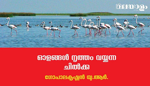 സഞ്ചാരികളുടെ പ്രിയ ഇടം...