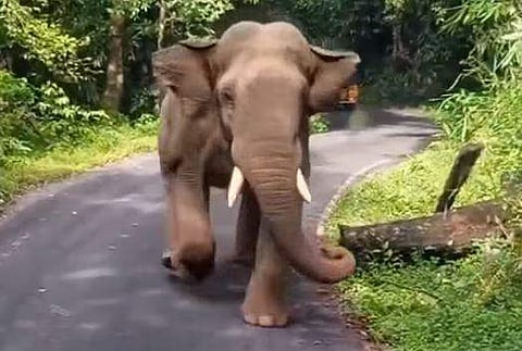 ഫയല്‍ ചിത്രം