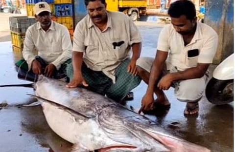 ടെലിവിഷന്‍ ദൃശ്യം
