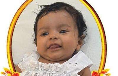ഹേസൽ