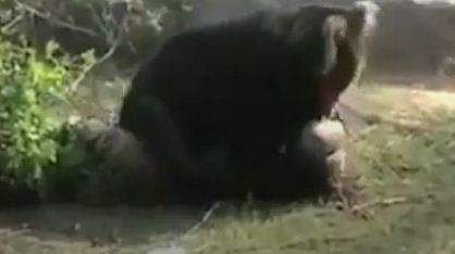 വിഡിയോ സ്ക്രീൻഷോട്ട്