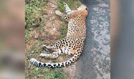 പ്രതീകാത്മക ചിത്രം