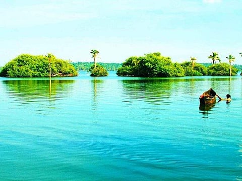 സാമ്പ്രാണിക്കോടി/ട്വിറ്റര്‍