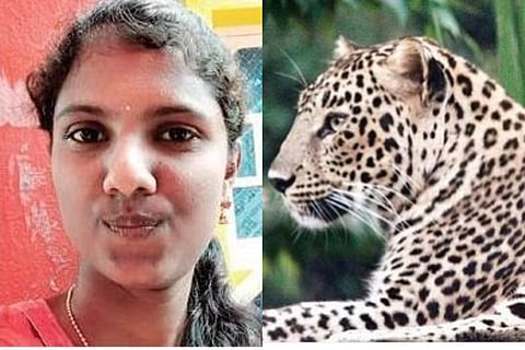 മേഘ്‌ന