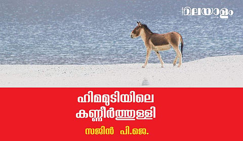 ചിലപ്പോള്‍ അങ്ങനെയാണ്, വഴികള്‍ നമ്മളെ നിര്‍ദ്ദാക്ഷിണ്യം പുറന്തള്ളും, അപ്രതീക്ഷിതങ്ങളെ പ്രതീക്ഷിക്കുന്നവരത്രെ യാത്രികര്‍...