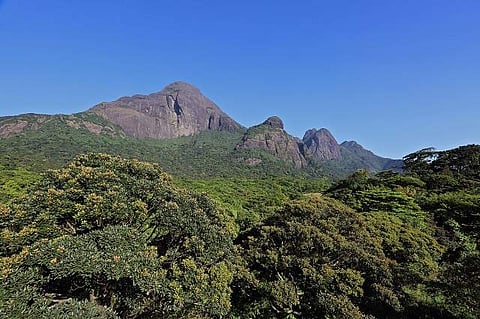 ഫയല്‍ ചിത്രം