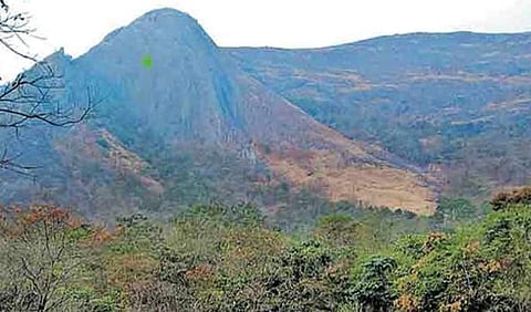 ചേറാട് മലയില്‍ നിന്ന് ഒരാളെ കണ്ടെത്തി, കൂടുതൽ പേരുണ്ടെന്ന് നാട്ടുകാർ; നടപടി ആവശ്യപ്പെട്ട് പ്രതിഷേധം