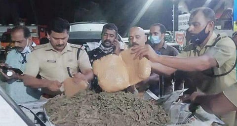 പിടിച്ചെടുത്ത കഞ്ചാവുമായി അന്വേഷണ സംഘം