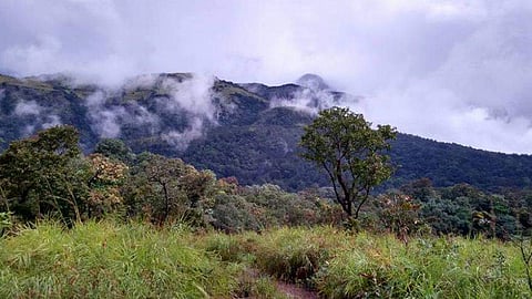 പേപ്പാറ/ ഫയൽ
