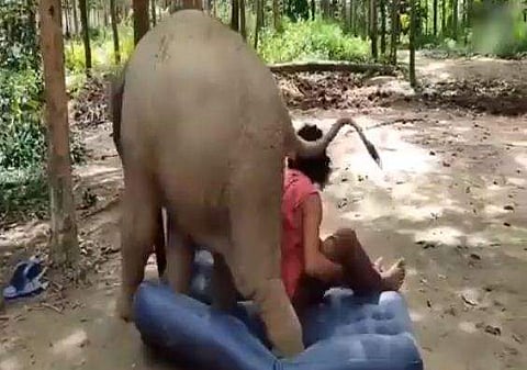 വീഡിയോ ദൃശ്യത്തില്‍ നിന്ന്‌