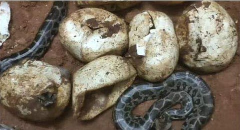 പ്രതീകാത്മക ചിത്രം