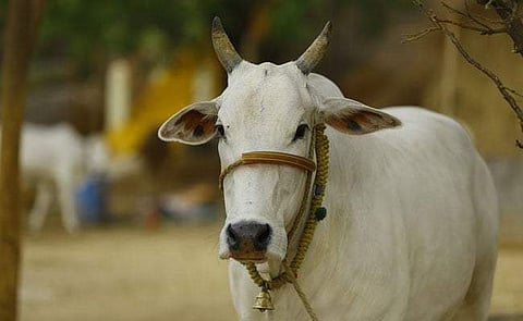 പ്രതീകാത്മക ചിത്രം