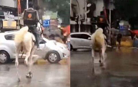 വിഡിയോ സ്ക്രീൻഷോട്ട്