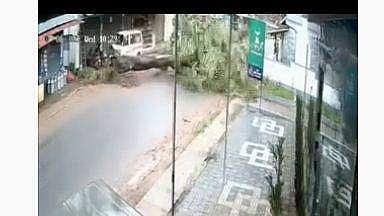 കടപുഴകി വീണ മരത്തില്‍ നിന്ന് തലനാരിഴയ്ക്ക് രക്ഷപ്പെടുന്ന ദൃശ്യം
