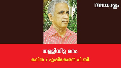 'തള്ളിയിട്ട മരം'- ഹൃഷികേശന്‍ പി.ബി. എഴുതിയ കവിത