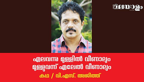 'എലവന്നു മുള്ളില്‍ വീണാലും മുള്ളുവന്ന് എലേല്‍ വീണാലും'- വി.എസ്. അജിത്ത് എഴുതിയ കഥ