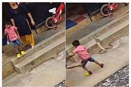 വീഡിയോ ദൃശ്യത്തില്‍ നിന്ന്‌
