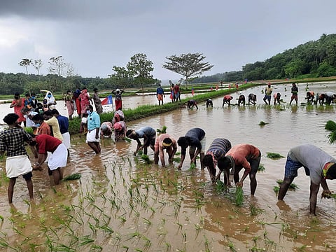 പ്രതീകാത്മക ചിത്രം
