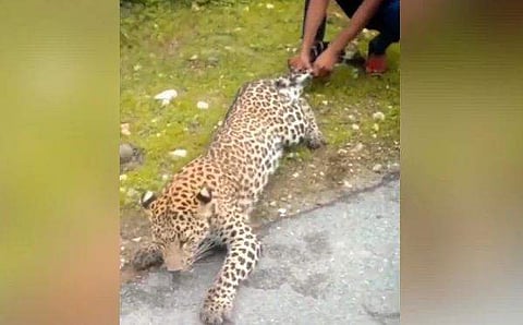 വീഡിയോ ദൃശ്യം