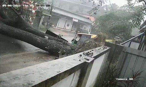 വീഡിയോ ദൃശ്യം