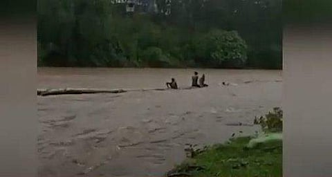 യുവാക്കള്‍ സാഹസികമായി തടിപിടിക്കുന്നു/ വീഡിയോദൃശ്യം