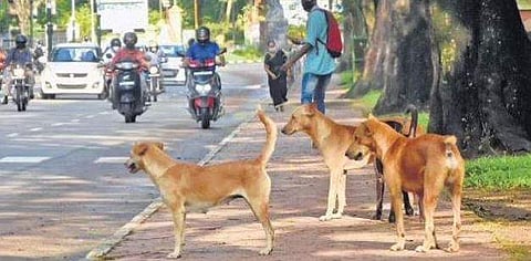 പ്രതീകാത്മക ചിത്രം