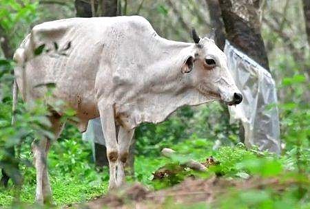 ടെലിവിഷൻ ദൃശ്യം
