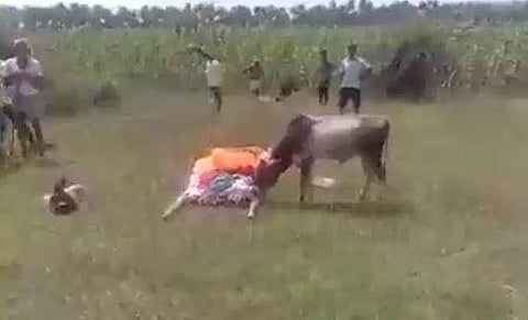 ശ്മശാനത്തില്‍ ഉടമയുടെ മൃതദേഹത്തിനരികെ നില്‍ക്കുന്ന കാളയുടെ ദൃശ്യം