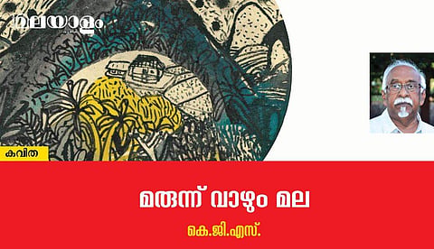 'മരുന്ന് വാഴും മല'- കെ.ജി.എസ് എഴുതിയ കവിത         