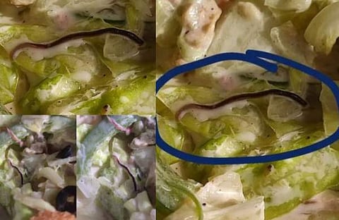 ചിക്കൻ സാലഡിൽ ചത്ത പുഴു/ ചിത്രം: ഇൻസ്റ്റ​ഗ്രാം