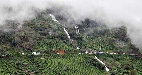 മൂന്നാർ, ഫയല്‍ ചിത്രം