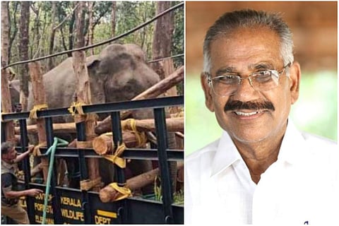 പി ടി സെവന്‍, മന്ത്രി ശശീന്ദ്രന്‍