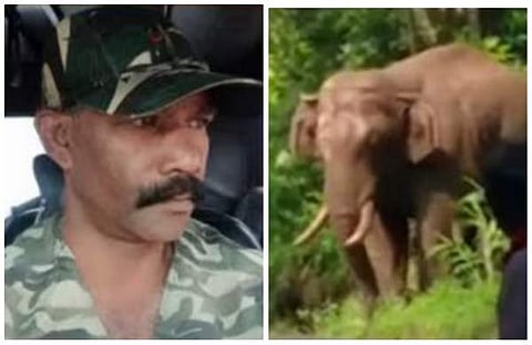 കൊല്ലപ്പെട്ട ശക്തിവേല്‍, ശാന്തന്‍പാറയില്‍ ഇറങ്ങിയ കാട്ടാന/വീഡിയോ സ്‌ക്രീന്‍ഷോട്ട്