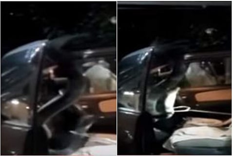 കാറിനുള്ളില്‍ നിന്നും രാജവെമ്പാലയെ പിടികൂടുന്നു/ ടിവി ദൃശ്യം