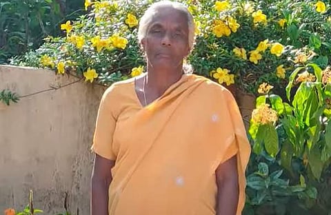 ഗ്രേസി