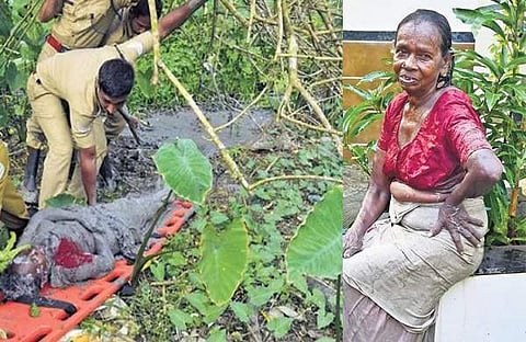 ചെളിയില്‍ വീണ കമലാക്ഷിയെ ഫയര്‍ഫോഴ്‌സ് രക്ഷപെടുത്തുന്നു, കമലാക്ഷി / എ സനേഷ്
