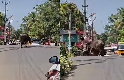 വീഡിയോ സ്‌ക്രീന്‍ഷോട്ട്