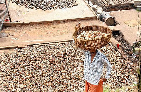 ഫയൽ ചിത്രം