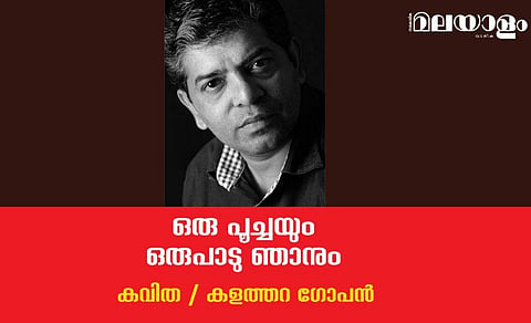 'ഒരു പൂച്ചയും ഒരുപാടു ഞാനും'- കളത്തറ ഗോപന്‍ എഴുതിയ കവിത